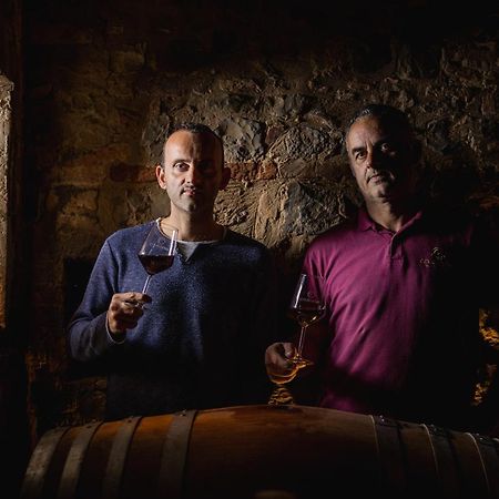 Wine Resort Colsereno Montalcino Ngoại thất bức ảnh
