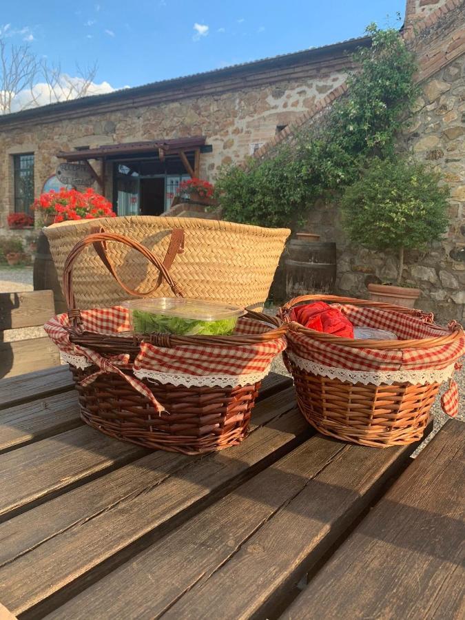 Wine Resort Colsereno Montalcino Ngoại thất bức ảnh