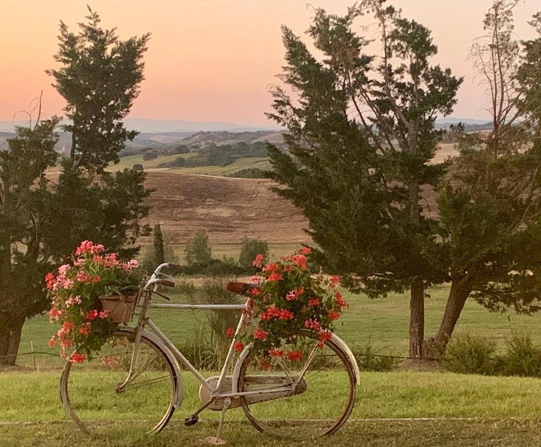 Wine Resort Colsereno Montalcino Ngoại thất bức ảnh
