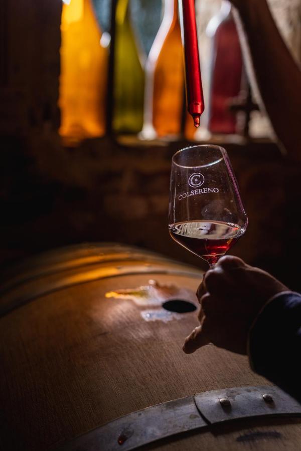 Wine Resort Colsereno Montalcino Ngoại thất bức ảnh