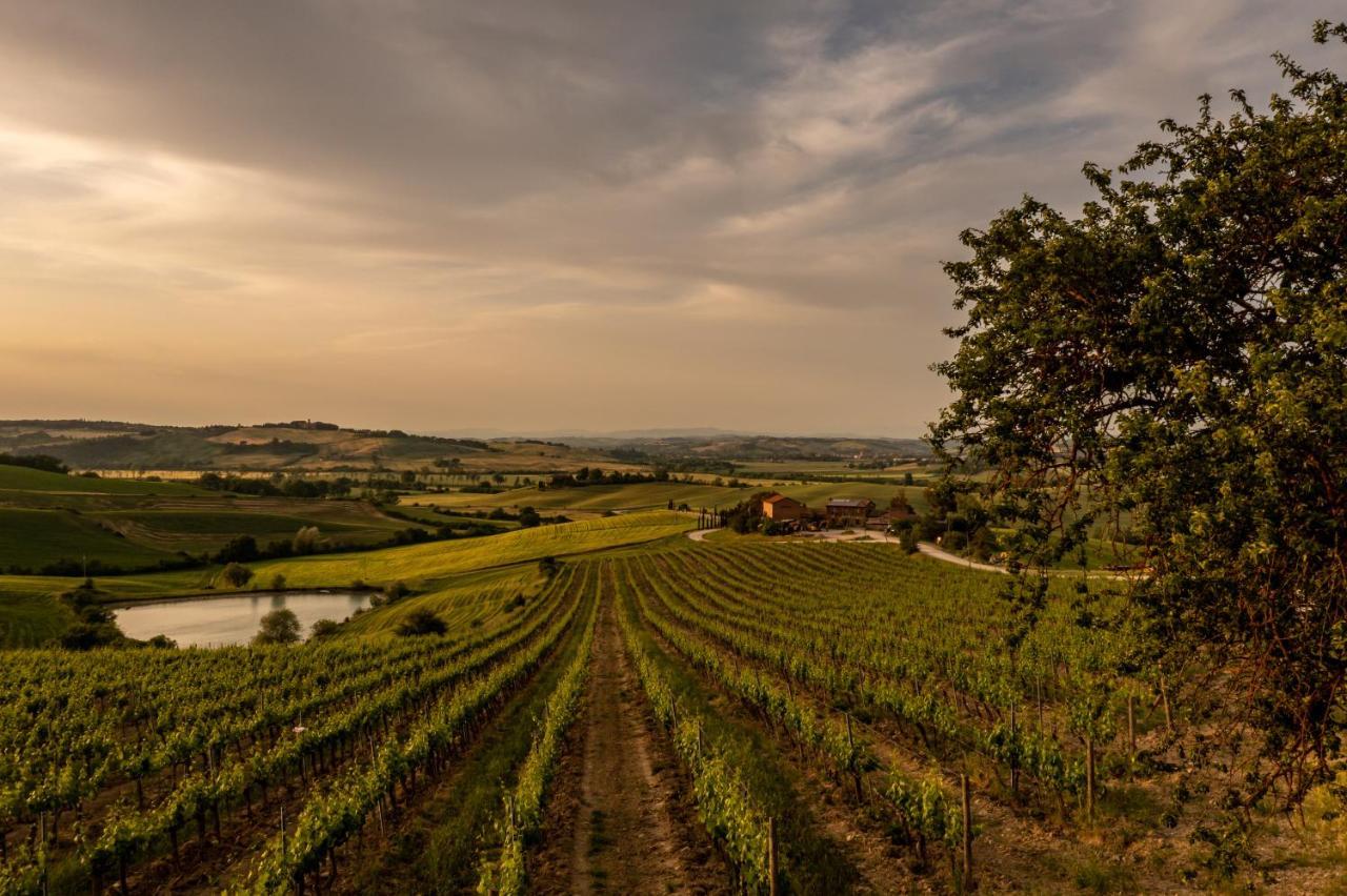 Wine Resort Colsereno Montalcino Ngoại thất bức ảnh