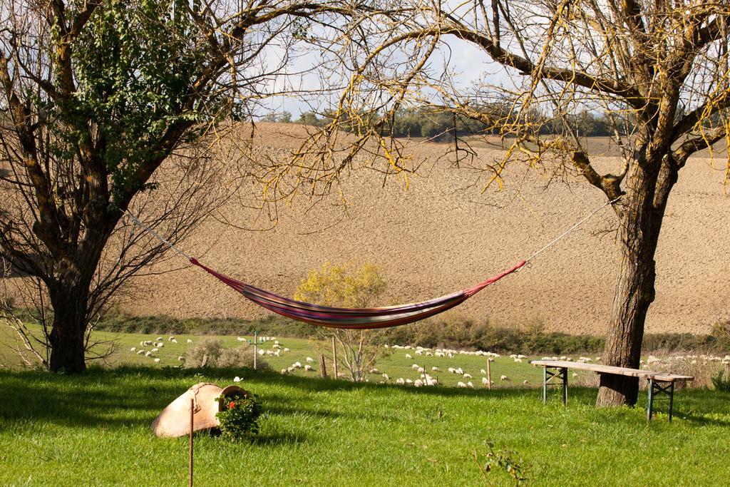 Wine Resort Colsereno Montalcino Ngoại thất bức ảnh