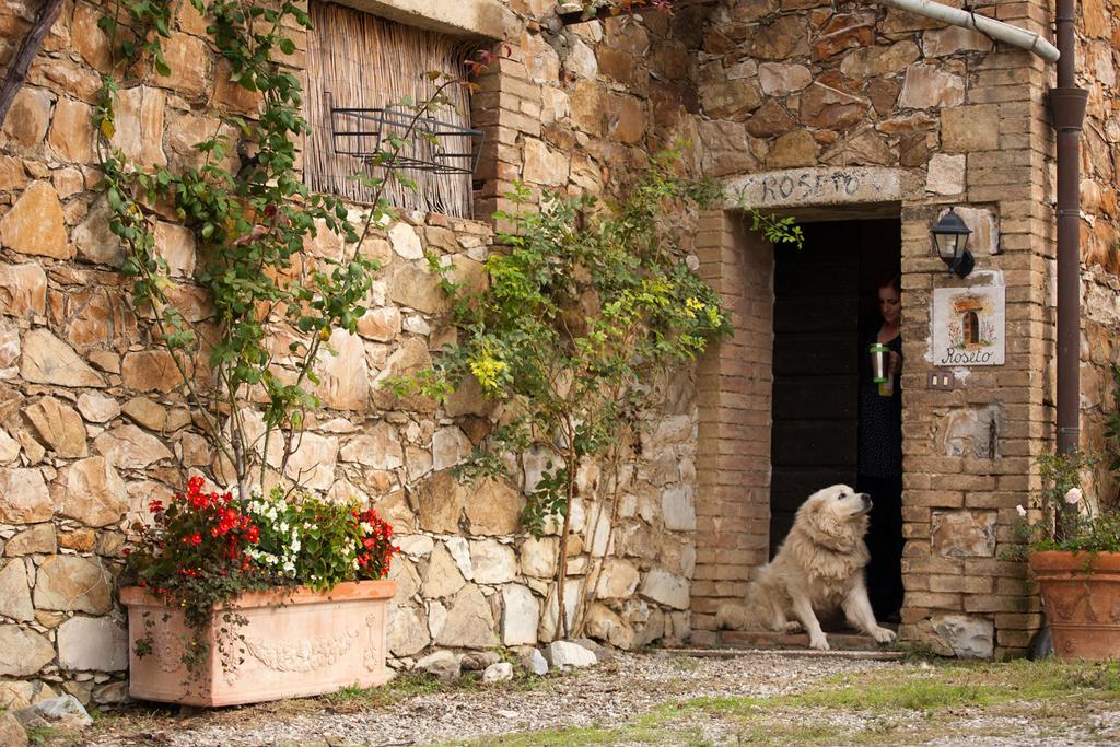 Wine Resort Colsereno Montalcino Ngoại thất bức ảnh