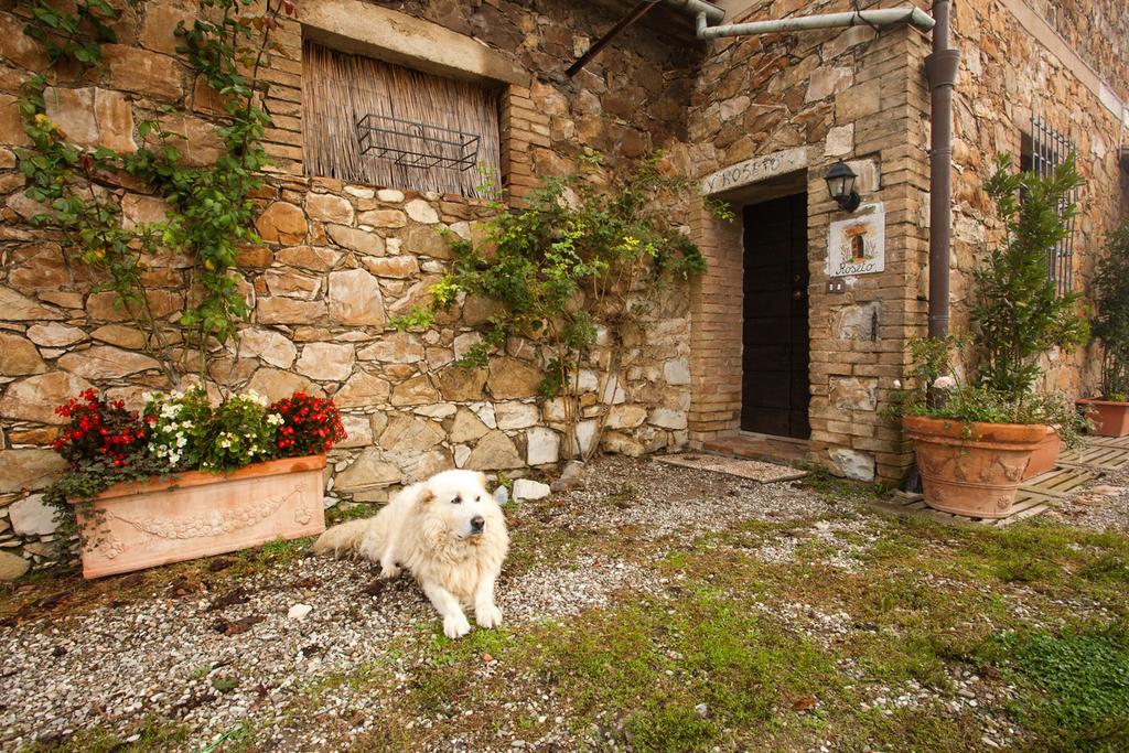 Wine Resort Colsereno Montalcino Ngoại thất bức ảnh