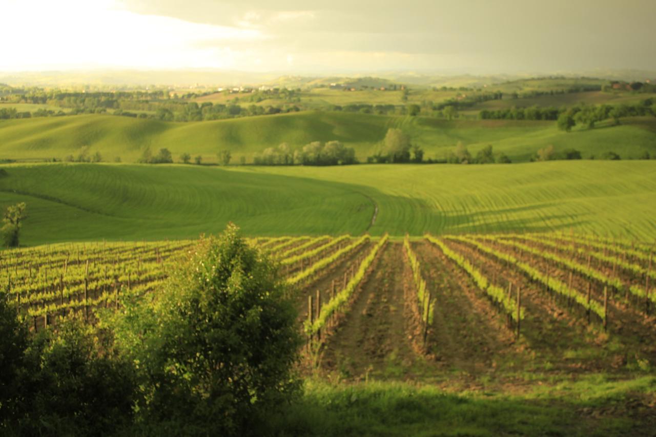 Wine Resort Colsereno Montalcino Ngoại thất bức ảnh