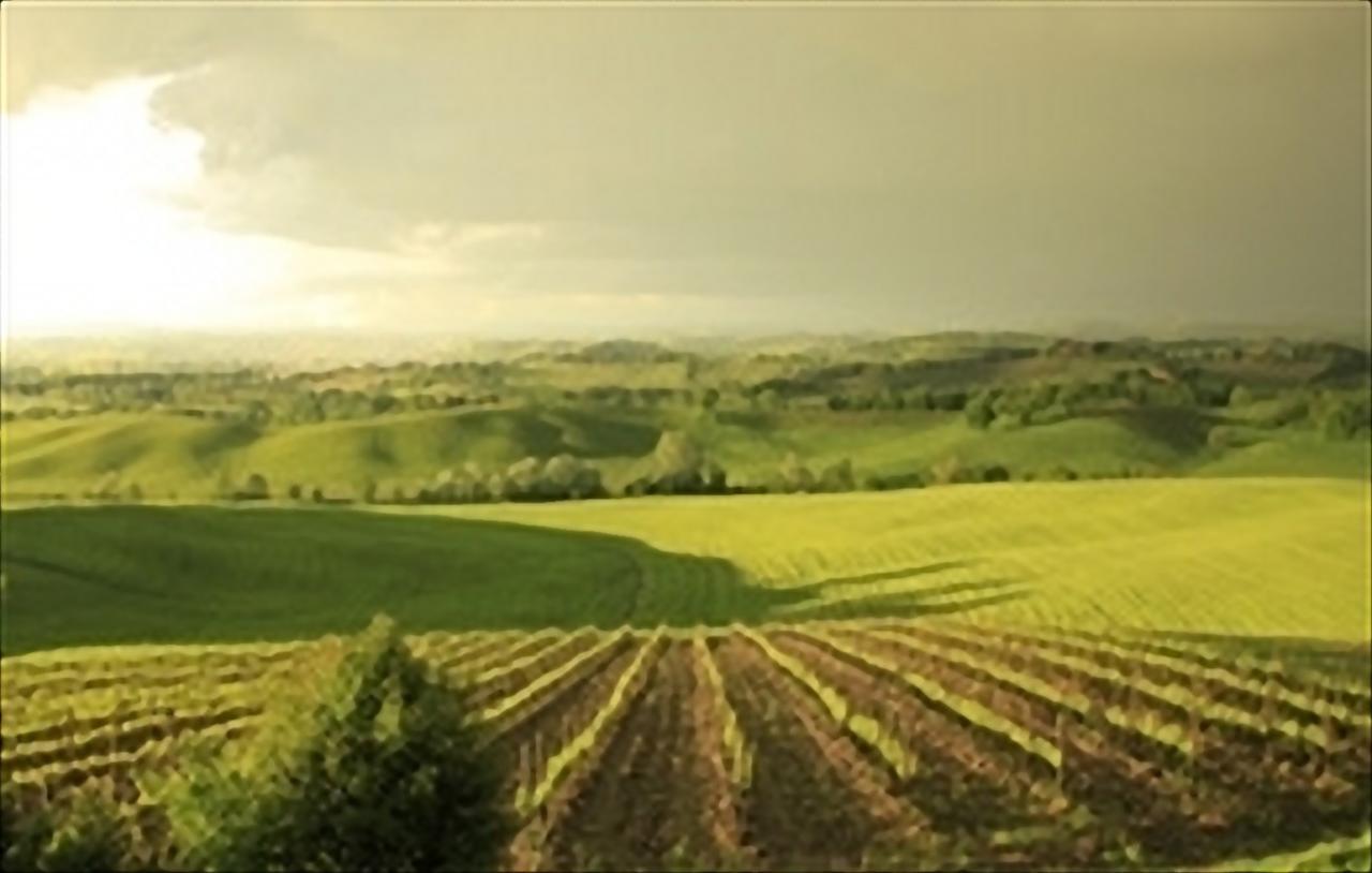 Wine Resort Colsereno Montalcino Ngoại thất bức ảnh
