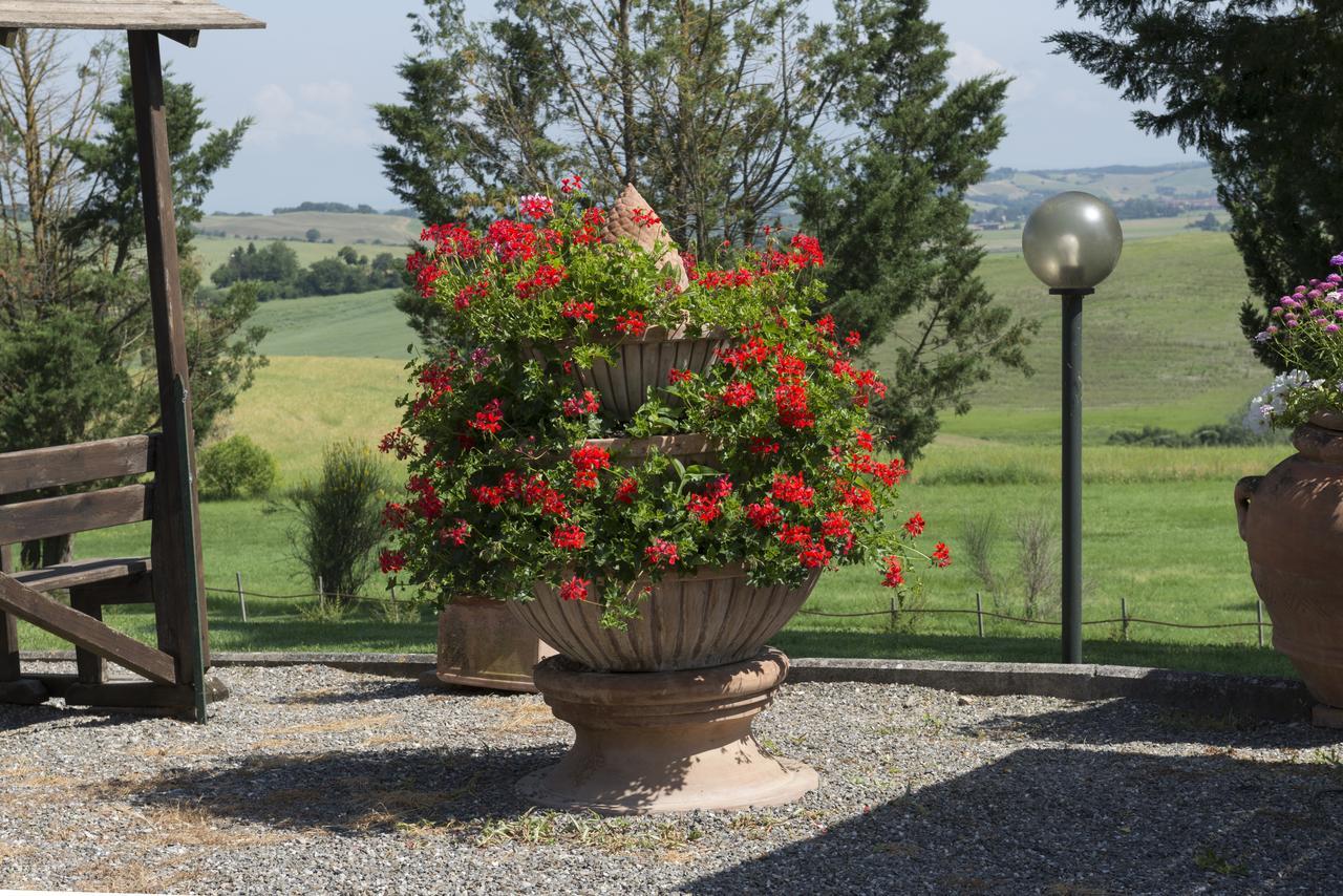 Wine Resort Colsereno Montalcino Ngoại thất bức ảnh