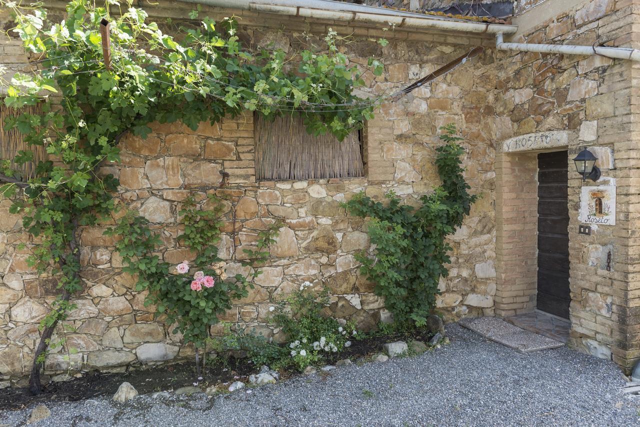 Wine Resort Colsereno Montalcino Ngoại thất bức ảnh