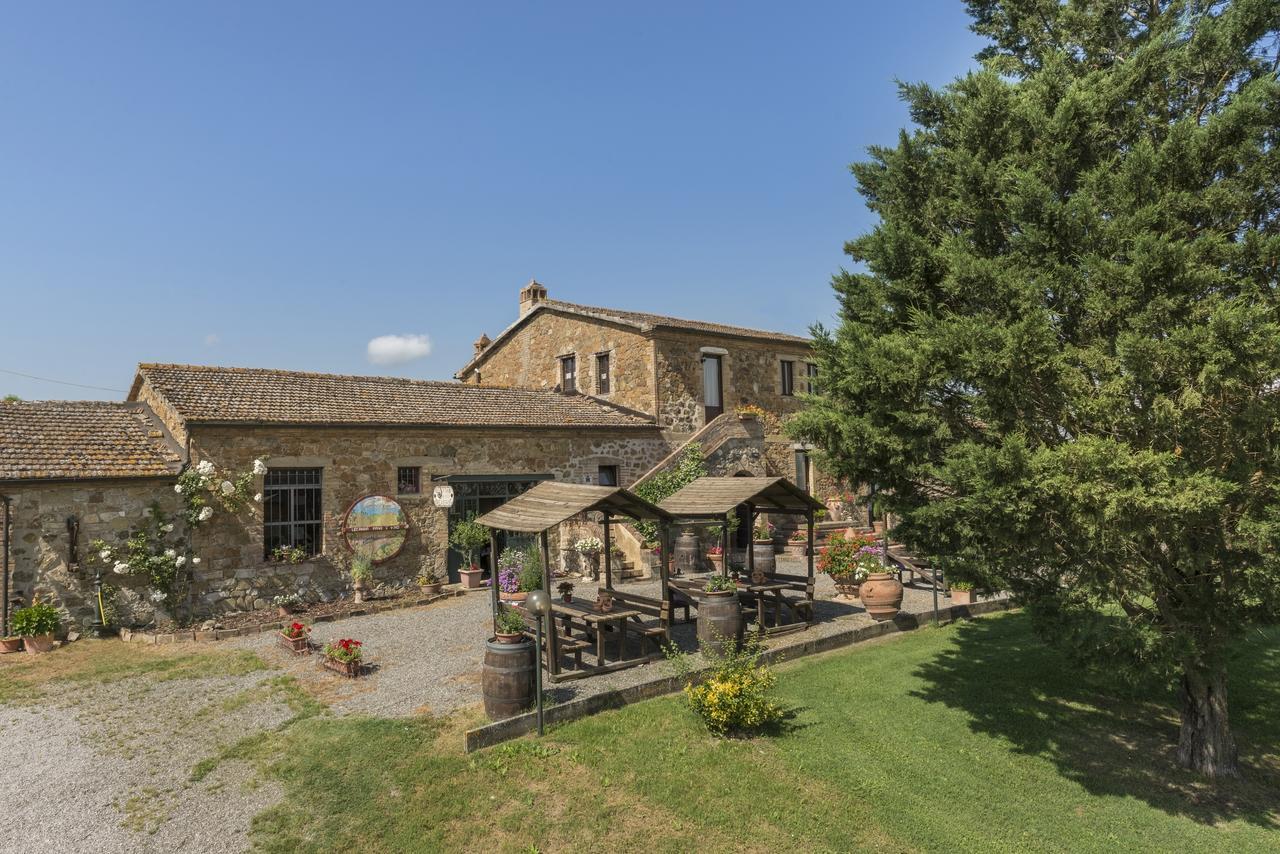 Wine Resort Colsereno Montalcino Ngoại thất bức ảnh